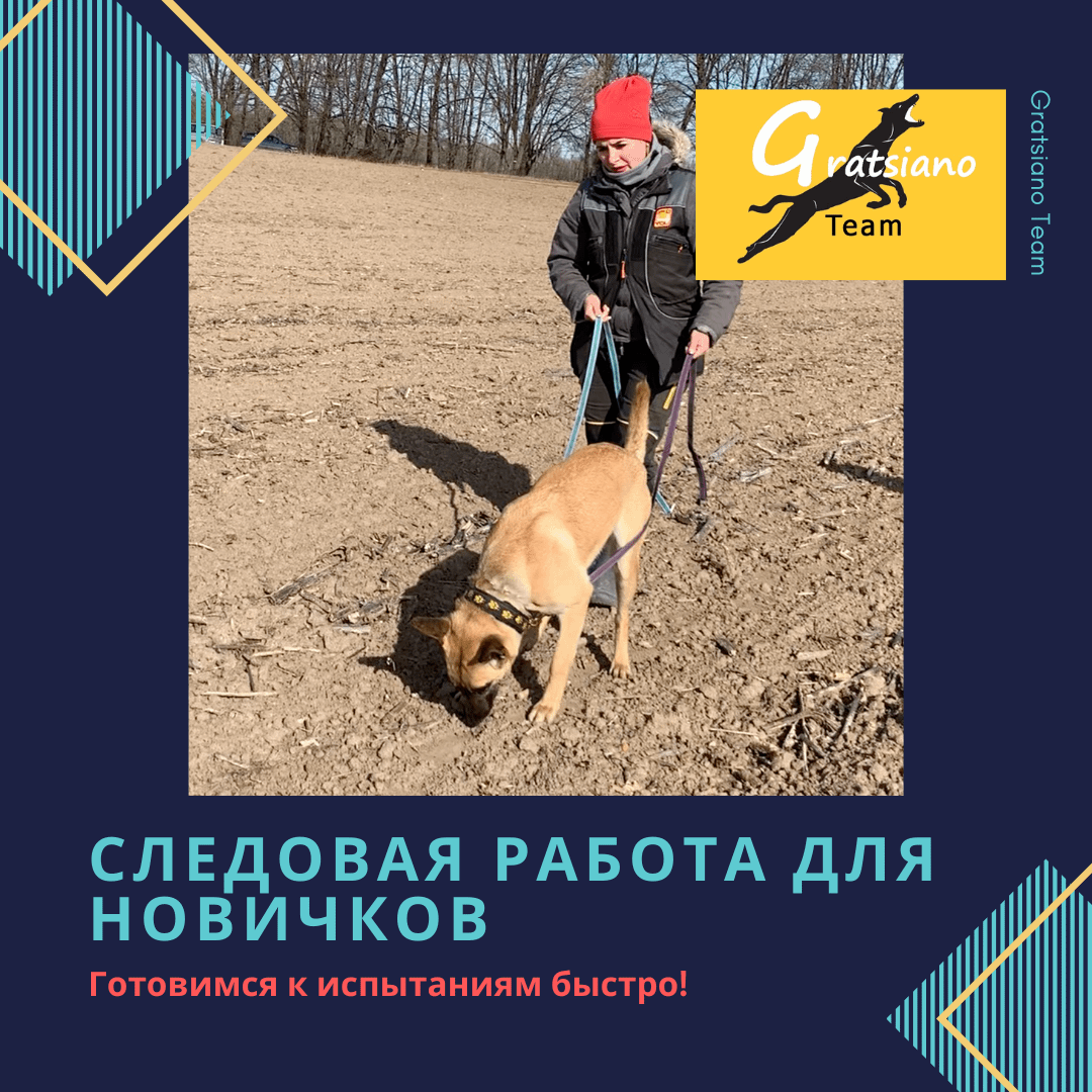 Видео-курс "Следовая работа для новичков"