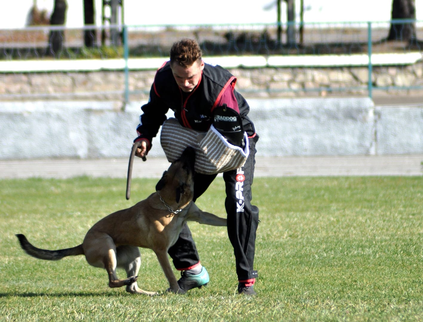 Be Cool iz Gratsiano