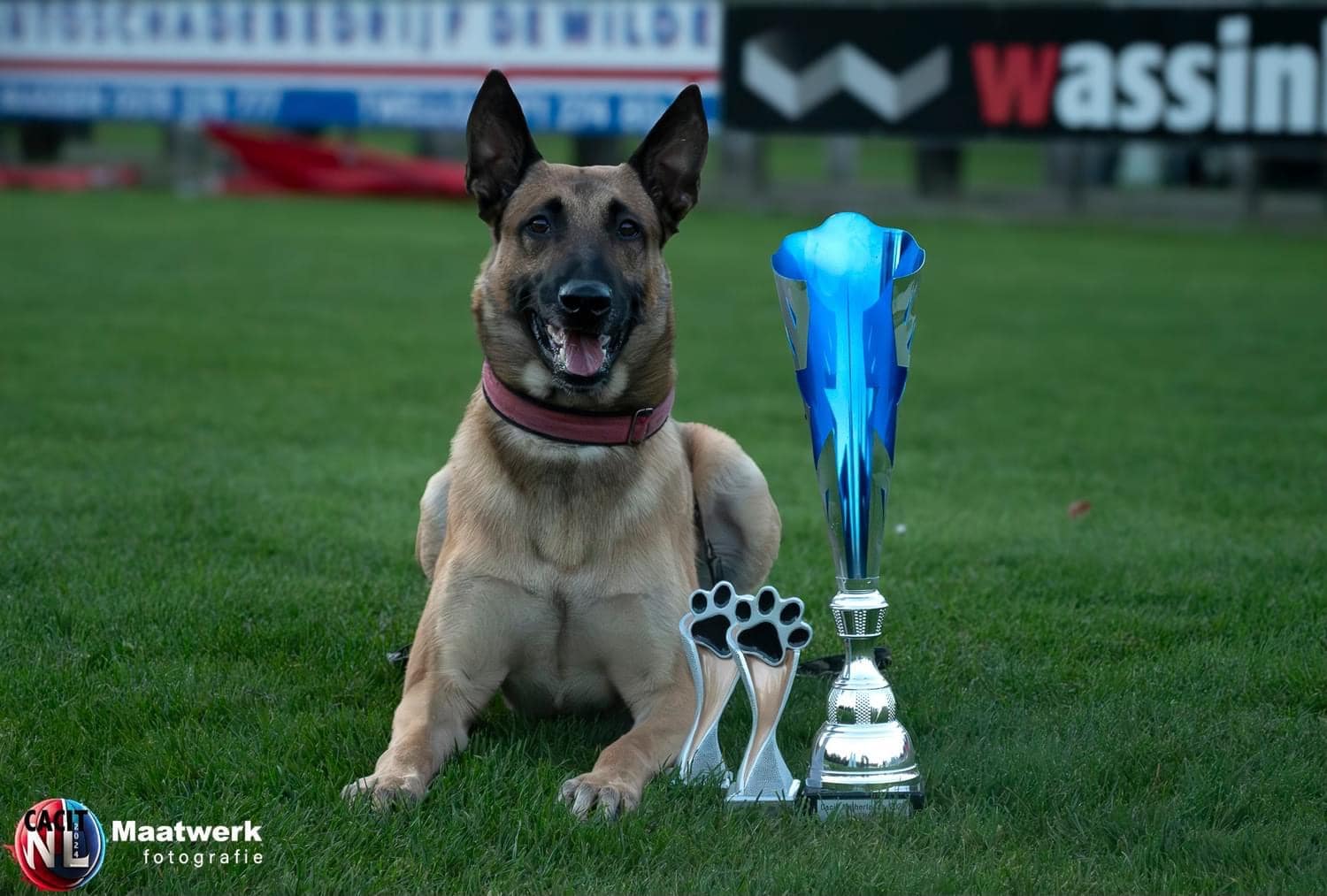 CACIT Netherlands 2024