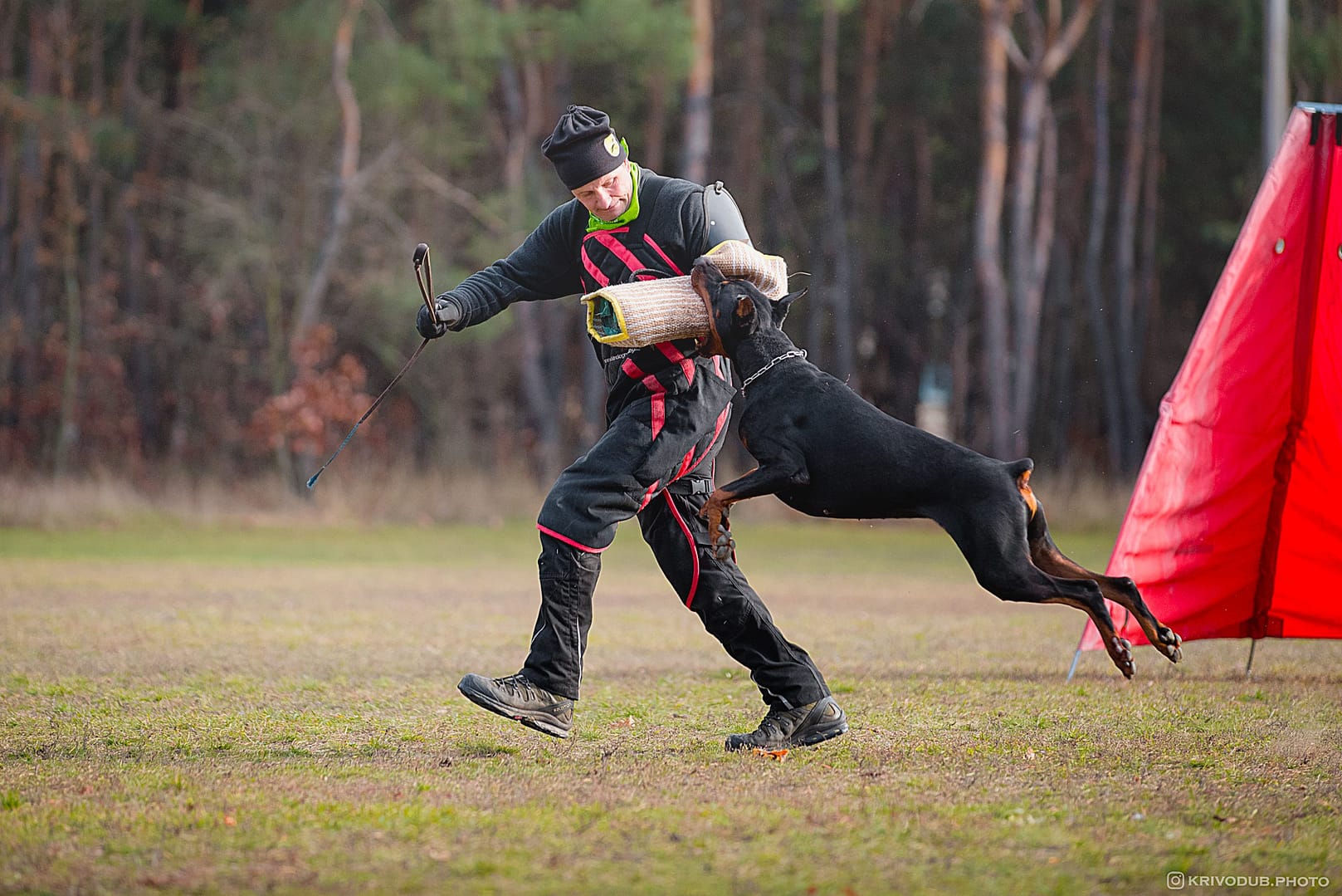 bording and training