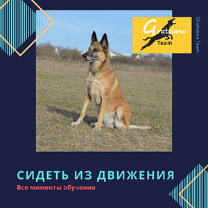 Видео-курс "Сидеть из движения - это просто"