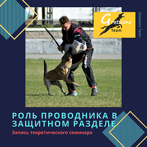 Семинар "Роль проводника в защитном разделе"
