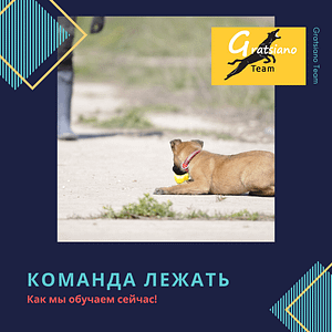 Лежать из движения - как мы обучаем!