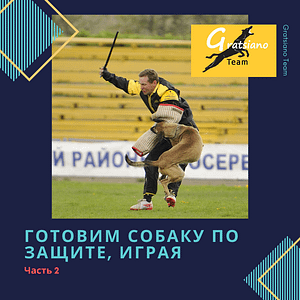 Видео-курс "Готовим собаку по защите, играя". Часть 2.