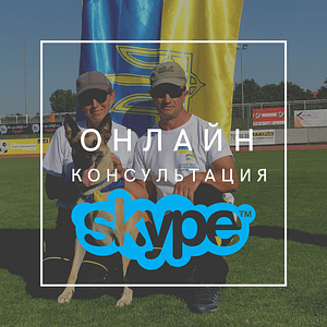 Онлайн консультация